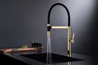 Смеситель для кухни Paulmark Leader Le214101-G, с гибким изливом, золото
