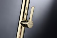 Смеситель для кухни Paulmark Leader Le214101-G, с гибким изливом, золото
