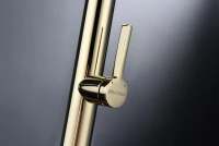 Смеситель для кухни Paulmark Leader Le214101-G, с гибким изливом, золото