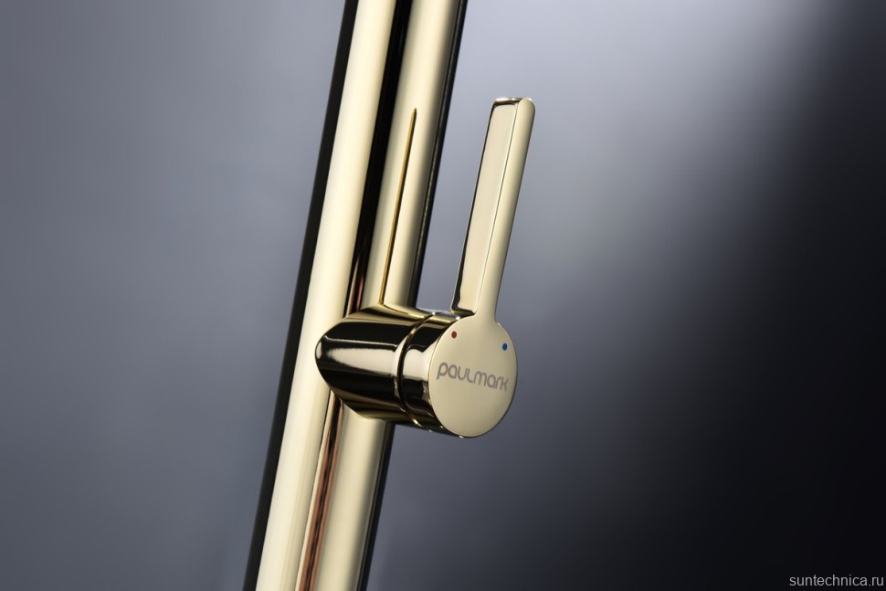 Смеситель для кухни Paulmark Leader Le214101-G, с гибким изливом, золото