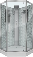 Душевая кабина Niagara Luxe Lux NG-7717WBK 100х100x210 серебро, с низким поддоном, без крыши