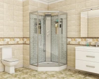 Душевая кабина Niagara Luxe Lux NG-7717WBK 100х100x210 серебро, с низким поддоном, без крыши