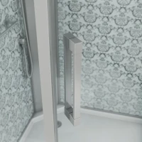 Душевая кабина Niagara Luxe Lux NG-7717WBK 100х100x210 серебро, с низким поддоном, без крыши
