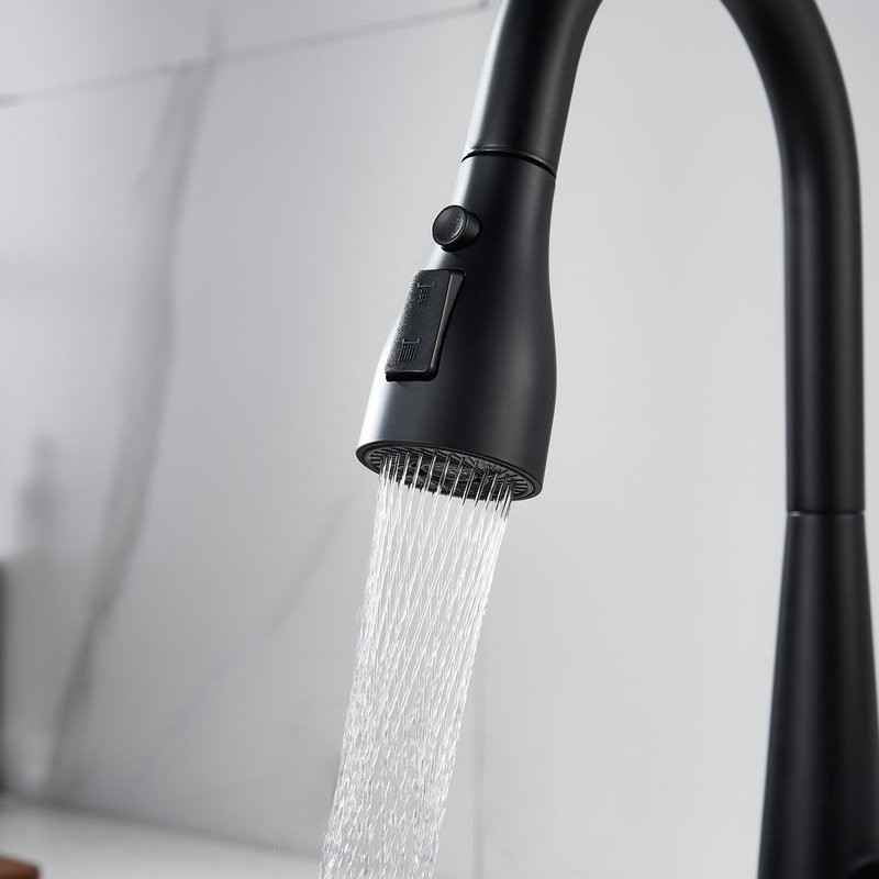 Смеситель для кухни с выдвижным изливом Shevanik S363H, черный