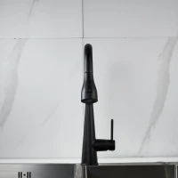 Смеситель для кухни с выдвижным изливом Shevanik S363H, черный