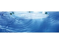 Верхний душ Grohe Rainshower Cosmopolitan 400 28778000
