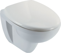 Унитаз подвесной Jacob Delafon Brive E4345G с микролифтом