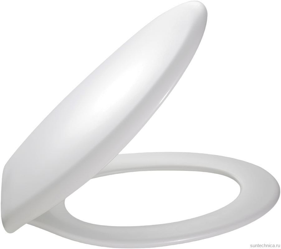 Унитаз подвесной Jacob Delafon Brive E4345G с микролифтом