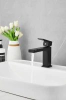 Смеситель для раковины BELZ B10613-7 черный Смеситель для раковины BELZ B10613-7 черный