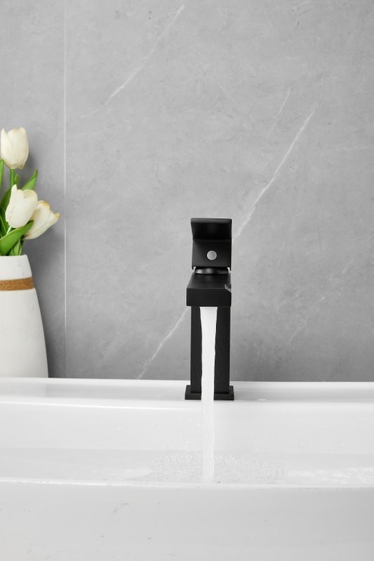 Смеситель для раковины BELZ B10613-7 черный