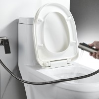 Гигиенический душ Rose R1805T-1 со смесителем, оружейная сталь