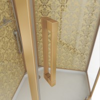 Душевая кабина Niagara Luxe NG-7799GBK 90х90x210 золото, с низким поддоном, без крыши