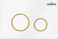 Комплект Lavinia Boho Унитаз подвесной Biore Rimless 3304102R + Крышка-сиденье Biore 33290410 с микролифтом + Инсталляция RelFix 38010010 + Кнопка RelFix 38050804 белая, золотой глянец + Дозатор RelFix 38040010