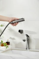 Комплект для раковины BELZ B713 B12713-3 с гигиеническим душем, оружейная сталь