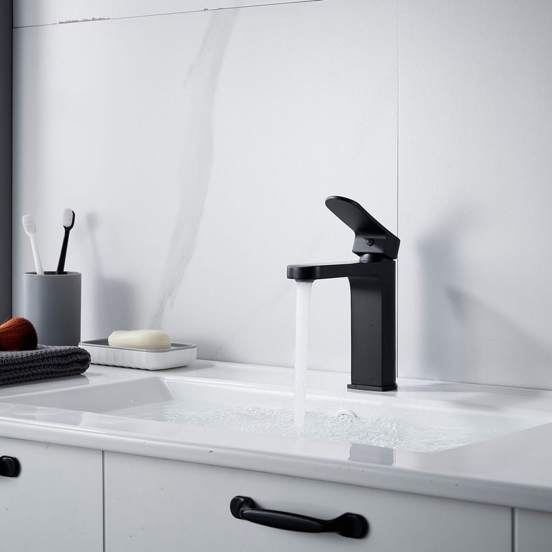 Смеситель для раковины Shevanik S4501H, черный