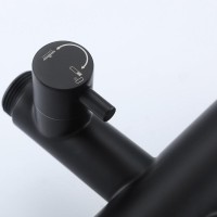 Душевая стойка Frap H807 F24807-6 черная