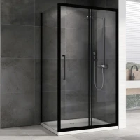 Душевой уголок Abber Schwarzer Diamant AG30140BH-S100B 140х100, профиль черный, стекло прозрачное